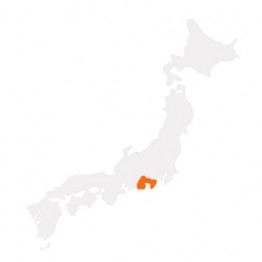 Mt.Fuji-Shizuoka Area Tourist Rail Pass Mini 5days